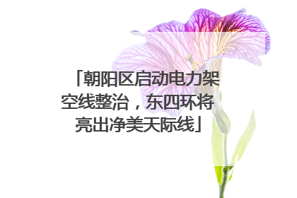 朝阳区启动电力架空线整治，东四环将亮出净美天际线