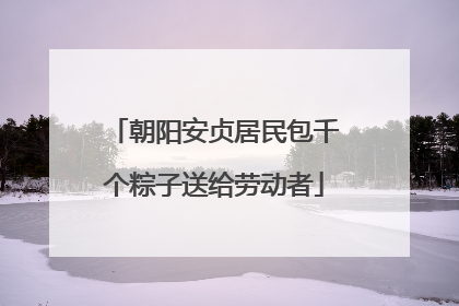朝阳安贞居民包千个粽子送给劳动者