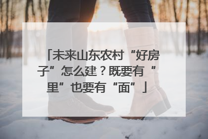 未来山东农村“好房子”怎么建？既要有“里”也要有“面”