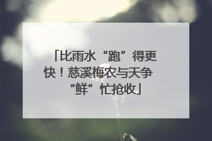 比雨水“跑”得更快！慈溪梅农与天争“鲜”忙抢收