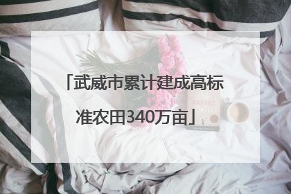 武威市累计建成高标准农田340万亩
