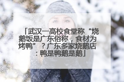 武汉一高校食堂称“烧鹅饭是广东俗称，食材为烤鸭”？广东多家烧鹅店：鸭是鸭鹅是鹅