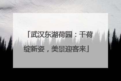 武汉东湖荷园：千荷绽新姿，美景迎客来