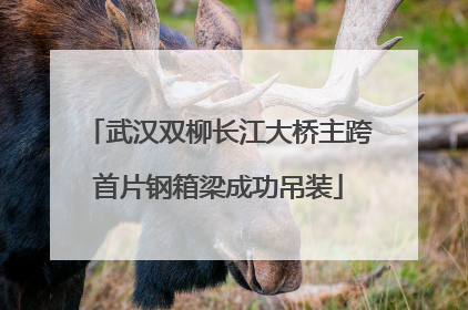 武汉双柳长江大桥主跨首片钢箱梁成功吊装