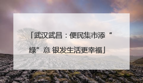 武汉武昌：便民集市添“绿”意 银发生活更幸福