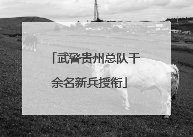 武警贵州总队千余名新兵授衔