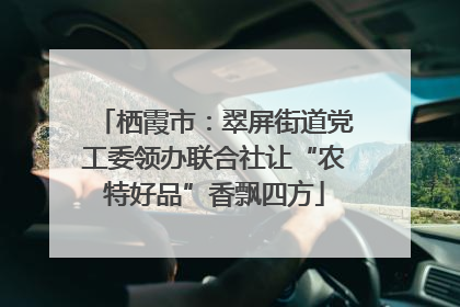 栖霞市：翠屏街道党工委领办联合社让“农特好品”香飘四方