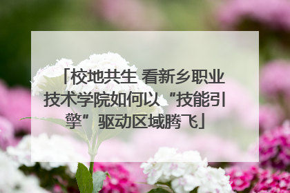 校地共生 看新乡职业技术学院如何以“技能引擎”驱动区域腾飞