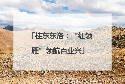 桂东东洛：“红领雁”领航百业兴