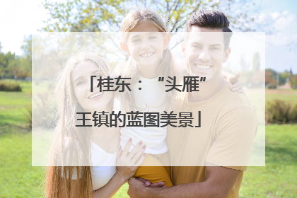 桂东：“头雁”王镇的蓝图美景