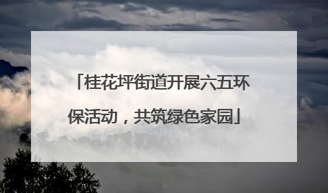 桂花坪街道开展六五环保活动，共筑绿色家园