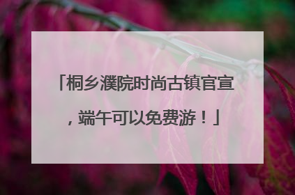 桐乡濮院时尚古镇官宣，端午可以免费游！
