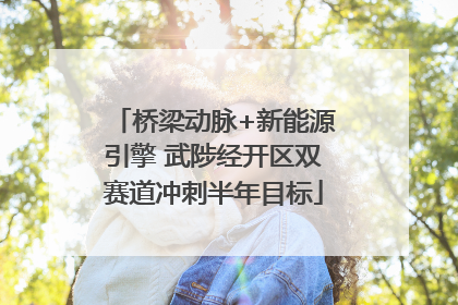 桥梁动脉+新能源引擎 武陟经开区双赛道冲刺半年目标