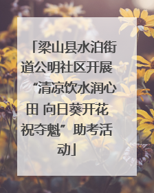 梁山县水泊街道公明社区开展“清凉饮水润心田 向日葵开花祝夺魁”助考活动