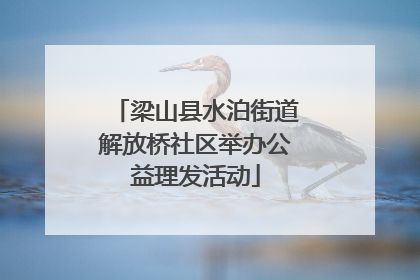 梁山县水泊街道解放桥社区举办公益理发活动