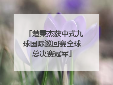 楚秉杰获中式九球国际巡回赛全球总决赛冠军