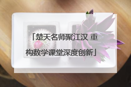 楚天名师聚江汉 重构数学课堂深度创新