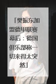 樊振东加盟德甲联赛幕后：德国俱乐部称一切来得太突然