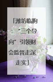 潍坊临朐：“三个导向”引领财会监督走深走实