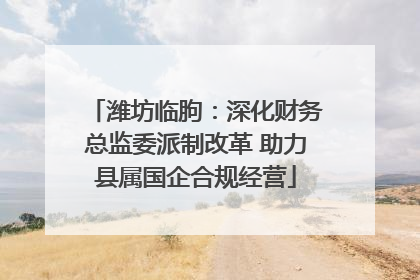 潍坊临朐：深化财务总监委派制改革 助力县属国企合规经营