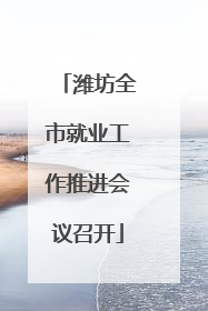 潍坊全市就业工作推进会议召开