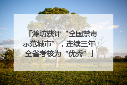 潍坊获评“全国禁毒示范城市”，连续三年全省考核为“优秀”