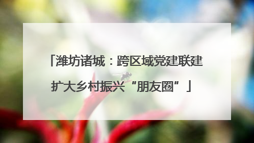 潍坊诸城：跨区域党建联建 扩大乡村振兴“朋友圈”