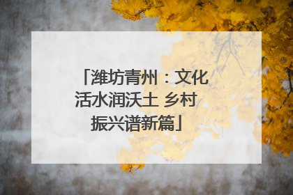潍坊青州：文化活水润沃土 乡村振兴谱新篇
