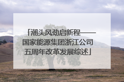 潮头风劲启新程——国家能源集团浙江公司五周年改革发展综述