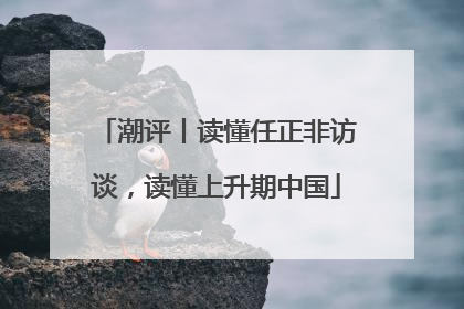潮评丨读懂任正非访谈，读懂上升期中国