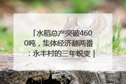 水稻总产突破4600吨，集体经济翻两番：永丰村的三年蜕变｜您牵挂的四川