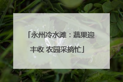 永州冷水滩：蔬果迎丰收 农园采摘忙