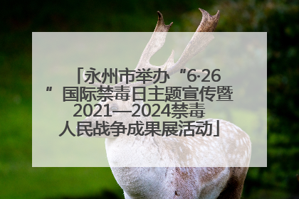 永州市举办“6·26”国际禁毒日主题宣传暨2021—2024禁毒人民战争成果展活动