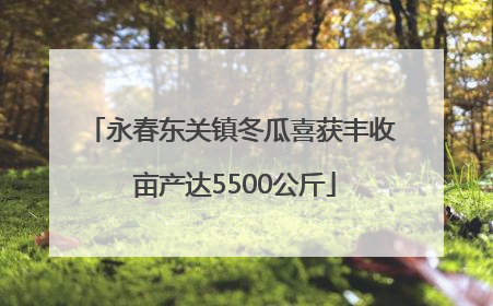 永春东关镇冬瓜喜获丰收 亩产达5500公斤