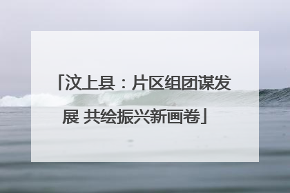 汶上县：片区组团谋发展 共绘振兴新画卷