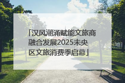 汉风潮涌赋能文旅商融合发展2025未央区文旅消费季启幕