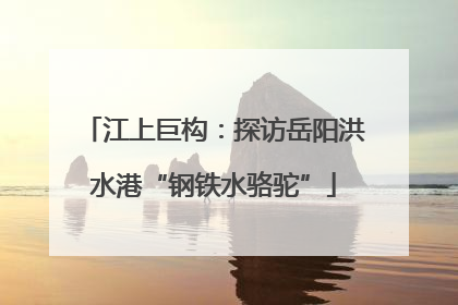 江上巨构：探访岳阳洪水港“钢铁水骆驼”