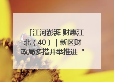江河澎湃 财惠江北（40）｜新区财政局多措并举推进“一卡通”管理 保障惠民惠农补贴精准高效发放