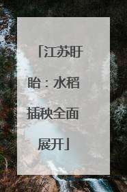 江苏盱眙：水稻插秧全面展开