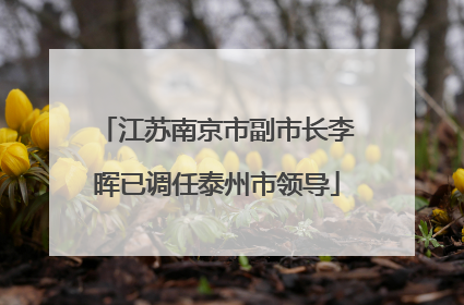 江苏南京市副市长李晖已调任泰州市领导