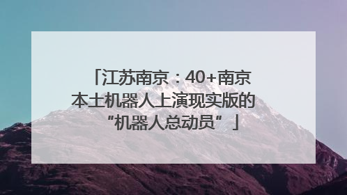 江苏南京：40+南京本土机器人上演现实版的“机器人总动员”