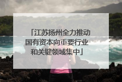 江苏扬州全力推动国有资本向重要行业和关键领域集中