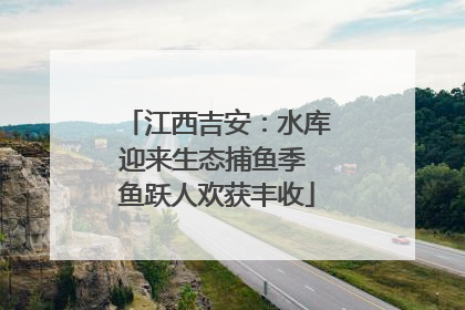 江西吉安：水库迎来生态捕鱼季 鱼跃人欢获丰收
