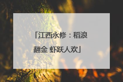 江西永修：稻浪翻金 虾跃人欢
