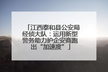 江西泰和县公安局经侦大队：运用新型警务助力护企安商跑出“加速度”