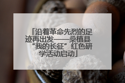 沿着革命先烈的足迹再出发——桑植县“我的长征”红色研学活动启动