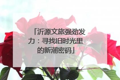 沂源文旅强劲发力：寻找旧时光里的新潮密码