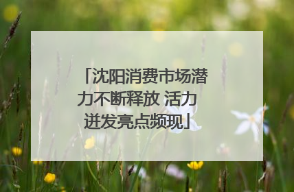沈阳消费市场潜力不断释放 活力迸发亮点频现