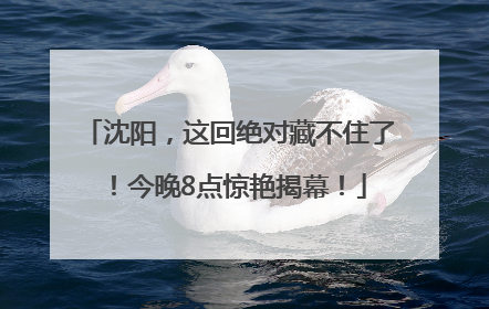 沈阳，这回绝对藏不住了！今晚8点惊艳揭幕！