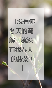 没有你冬天的调解，就没有我春天的菠菜！
